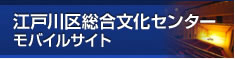 ]ː摍޲ٻ